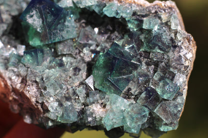 Diana Marie Green Fluorite, UV Reactive