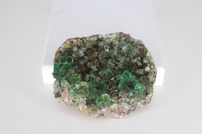 Diana Marie Green Fluorite, UV Reactive