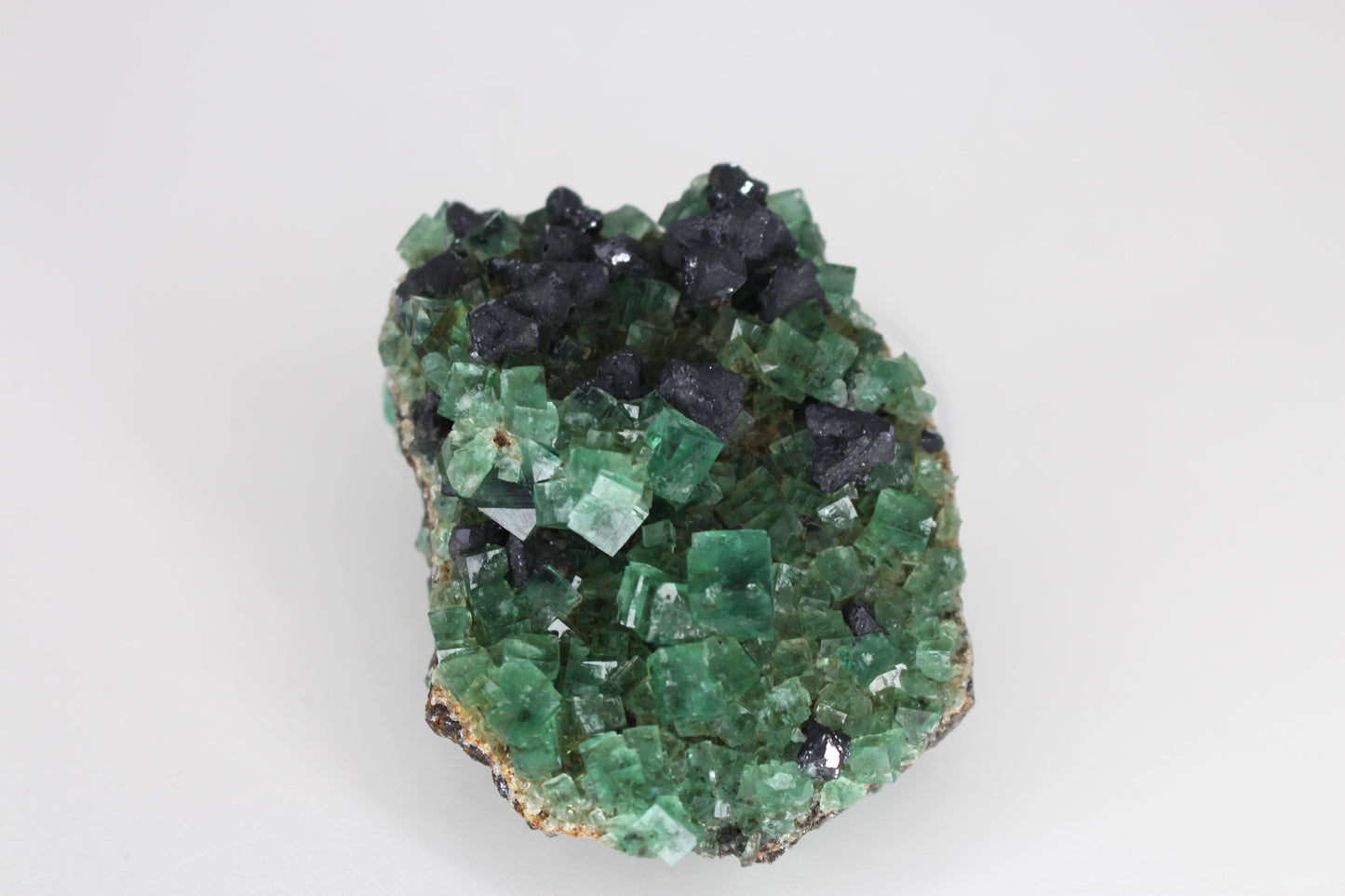 Diana Marie Green Fluorite, UV Reactive