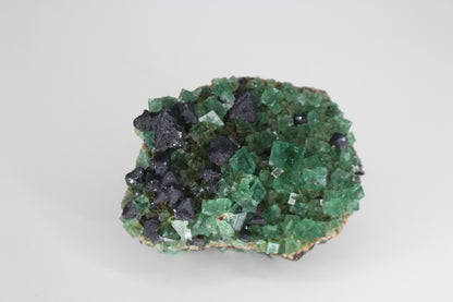 Diana Marie Green Fluorite, UV Reactive