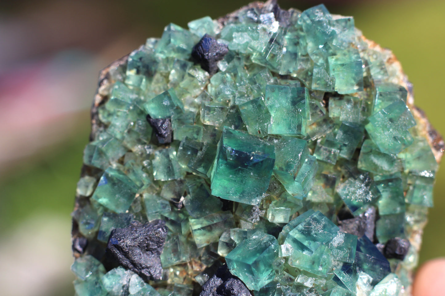 Diana Marie Green Fluorite, UV Reactive