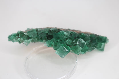 Diana Marie Green Fluorite, UV Reactive