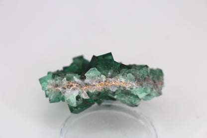 Diana Marie Green Fluorite, UV Reactive