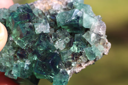 Diana Marie Green Fluorite, UV Reactive