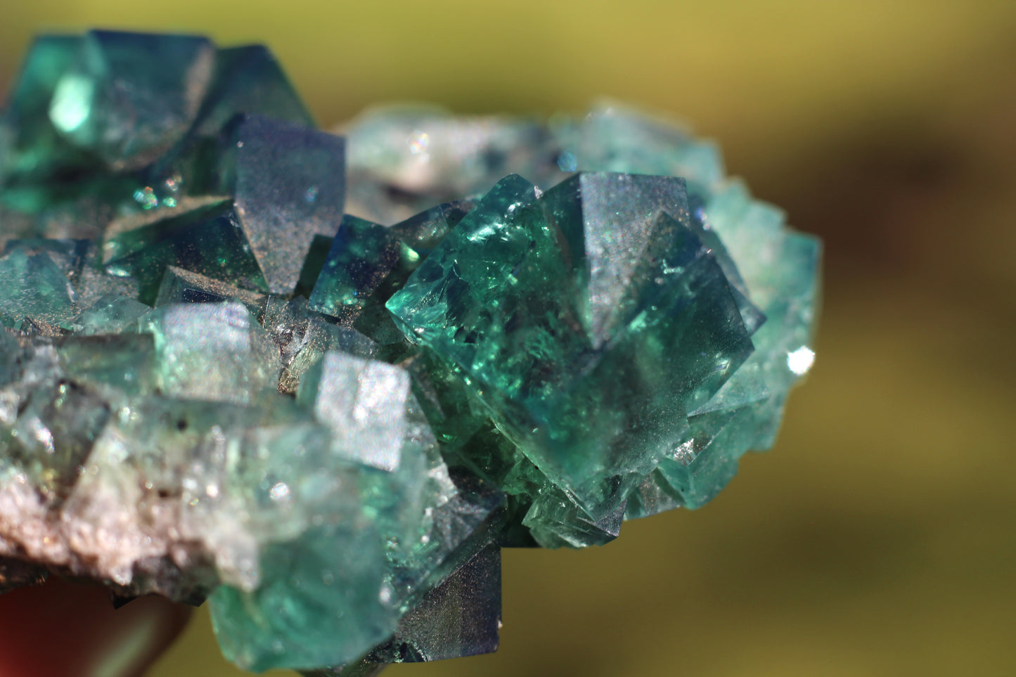 Diana Marie Green Fluorite, UV Reactive