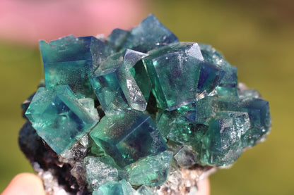 Diana Marie Green Fluorite, UV Reactive*