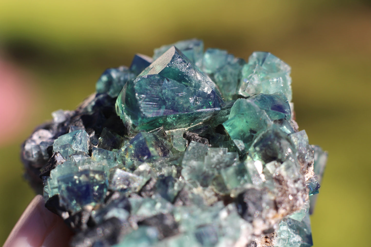 Diana Marie Green Fluorite, UV Reactive*