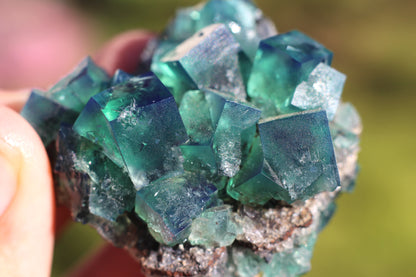 Diana Marie Green Fluorite, UV Reactive*