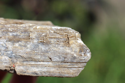 Gypsum Selenite