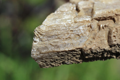 Gypsum Selenite