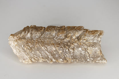 Gypsum Selenite