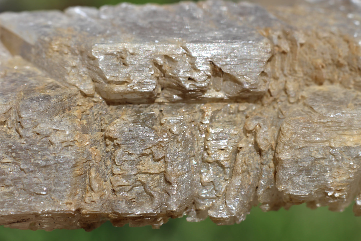 Gypsum Selenite