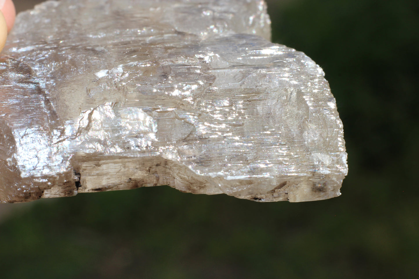 Gypsum Selenite