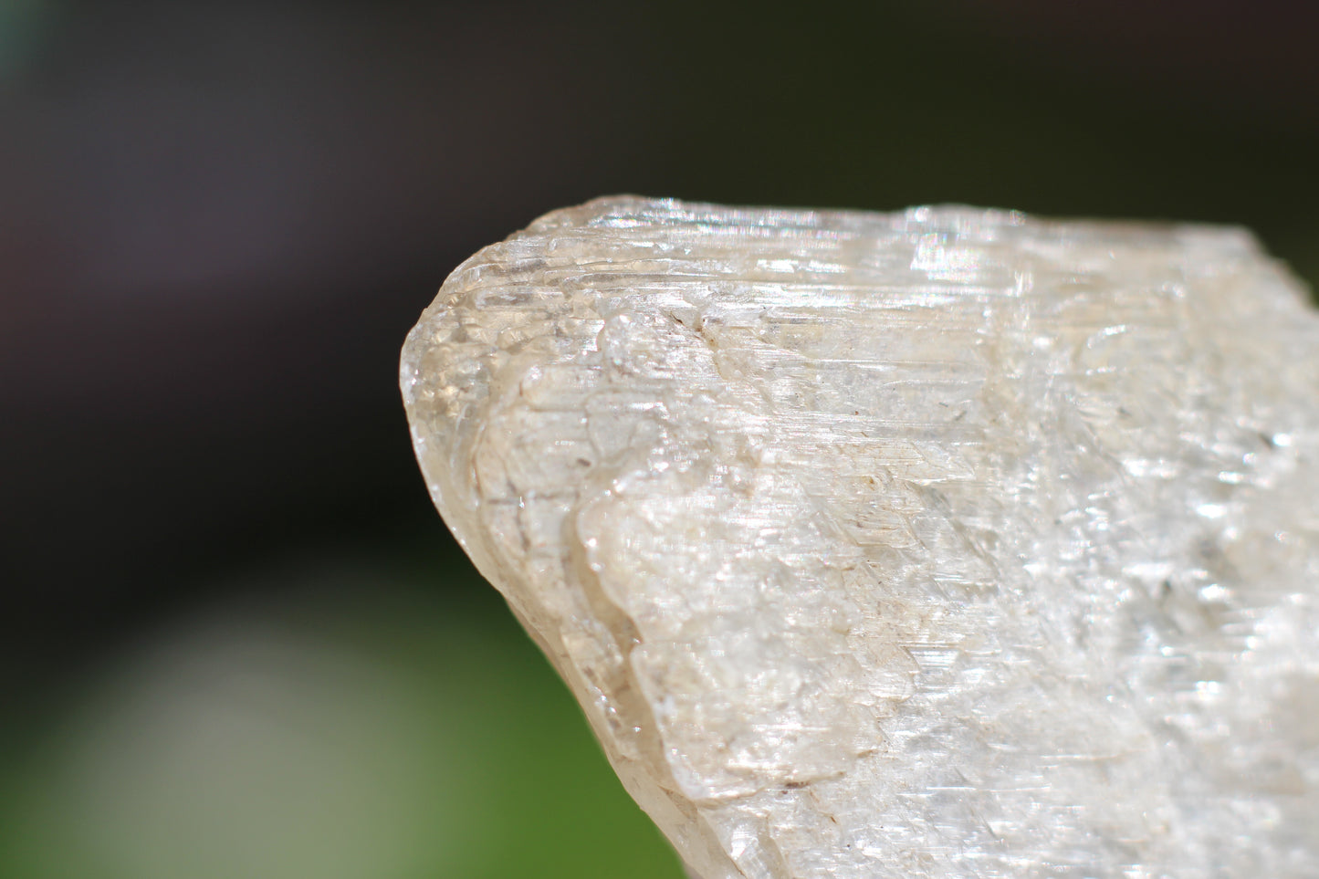 Gypsum Selenite