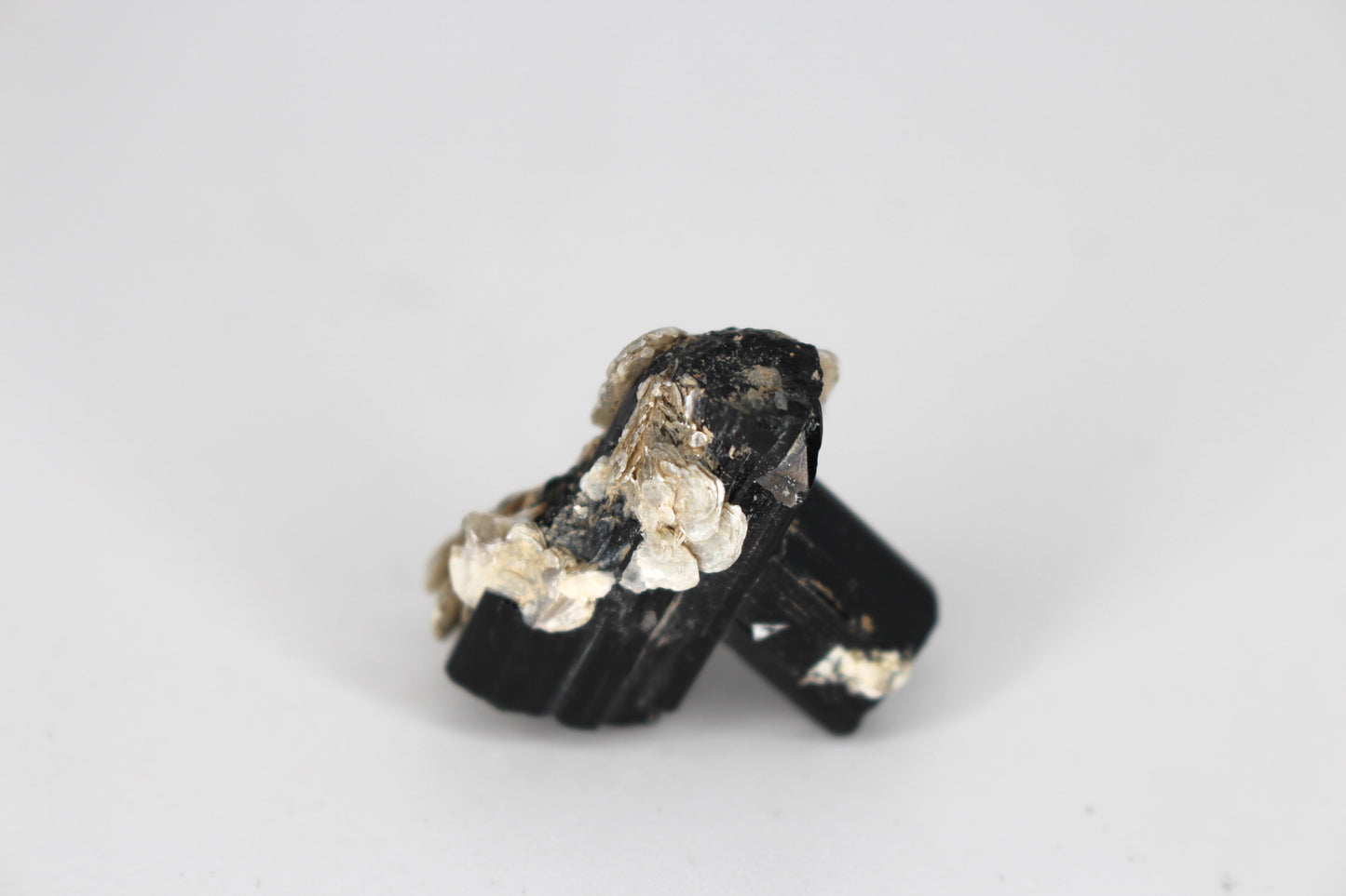 Black Tourmaline w/ Mica