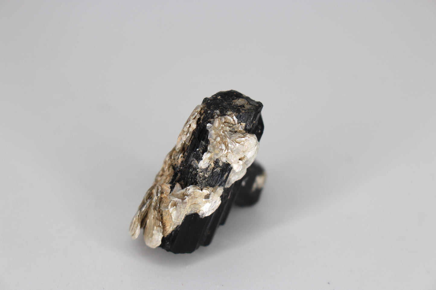 Black Tourmaline w/ Mica