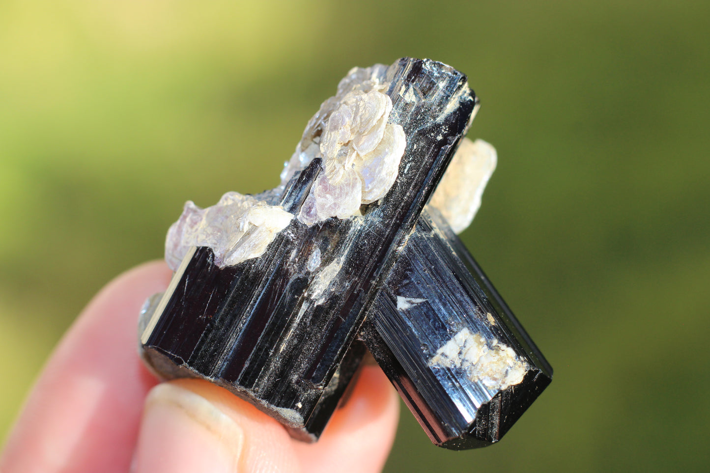 Black Tourmaline w/ Mica