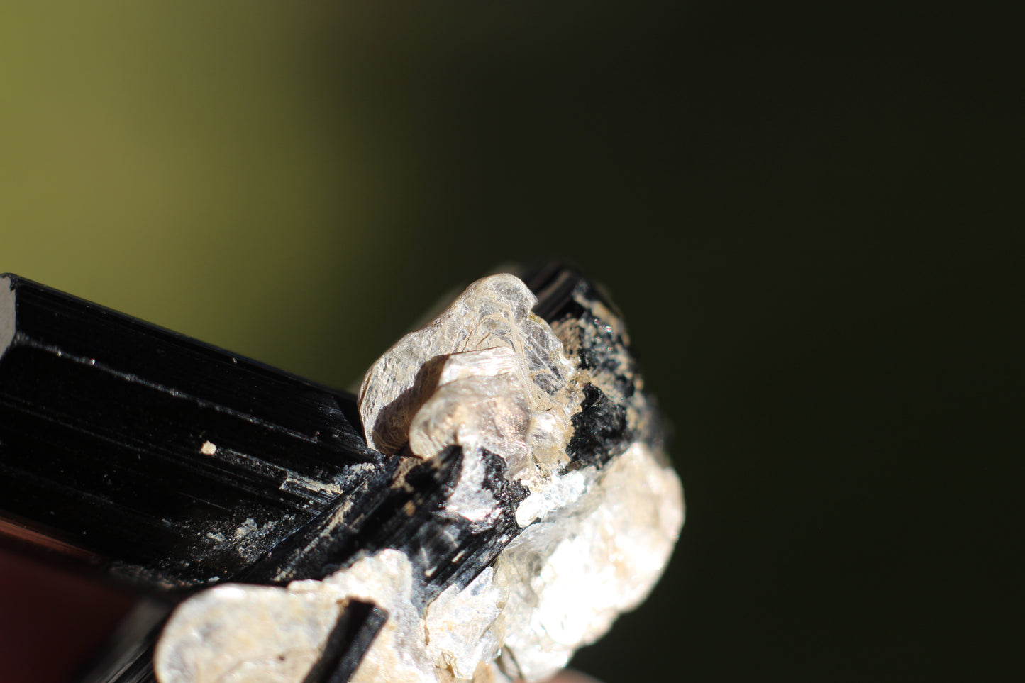 Black Tourmaline w/ Mica