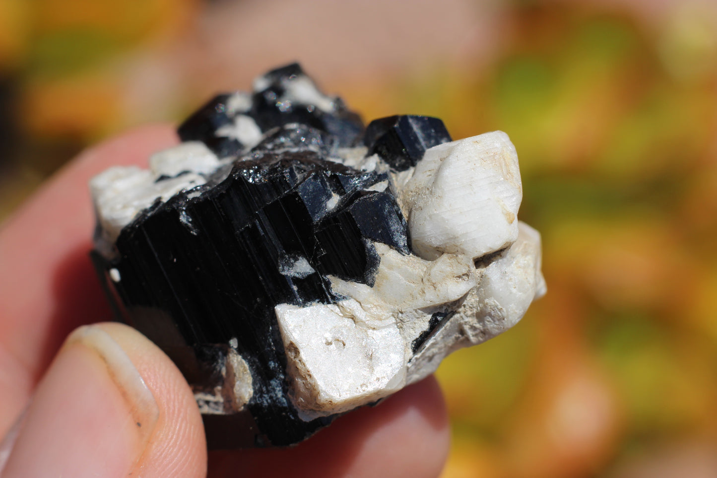 Black Tourmaline w/ Feldspar