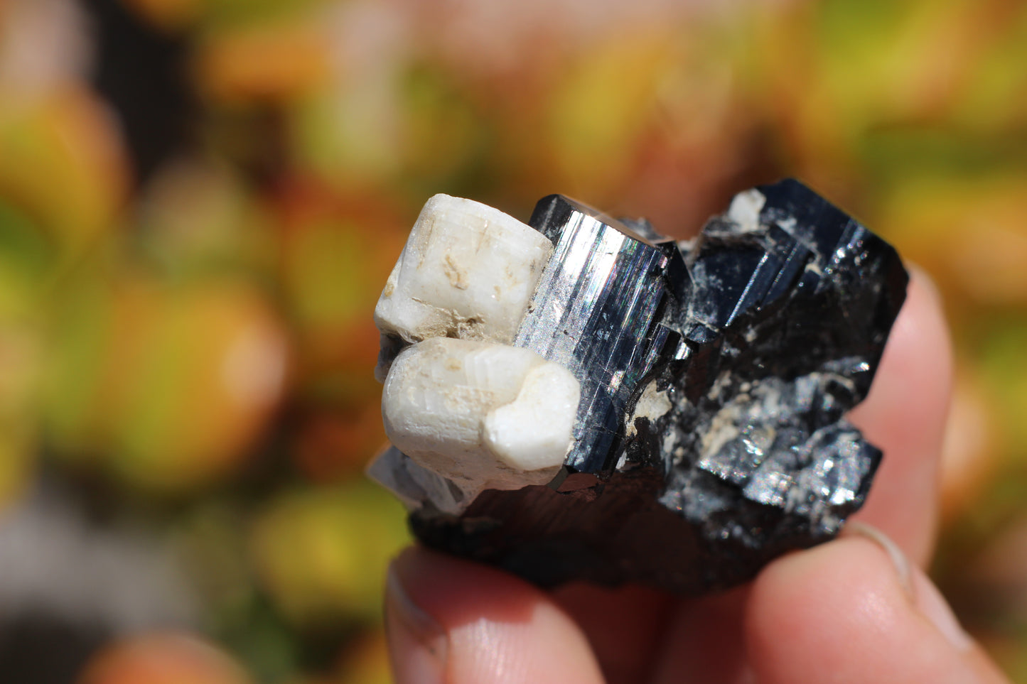 Black Tourmaline w/ Feldspar