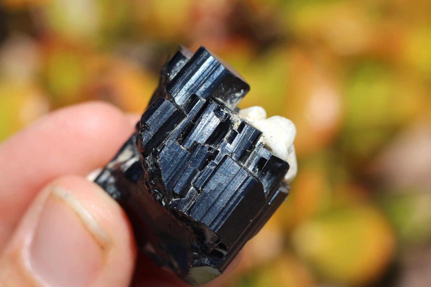 Black Tourmaline w/ Feldspar