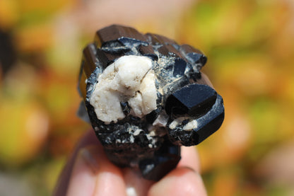 Black Tourmaline w/ Feldspar