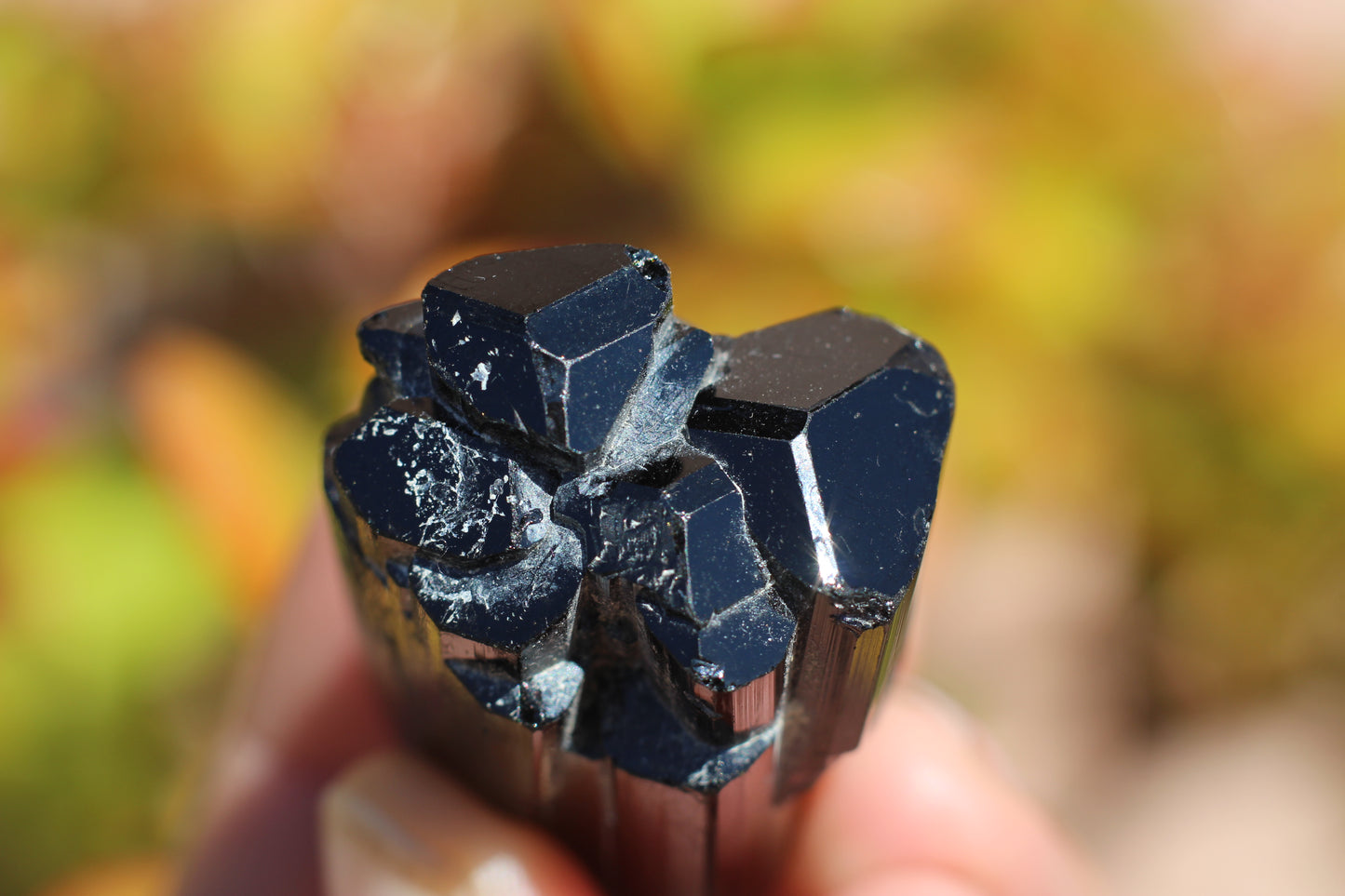 Black Tourmaline