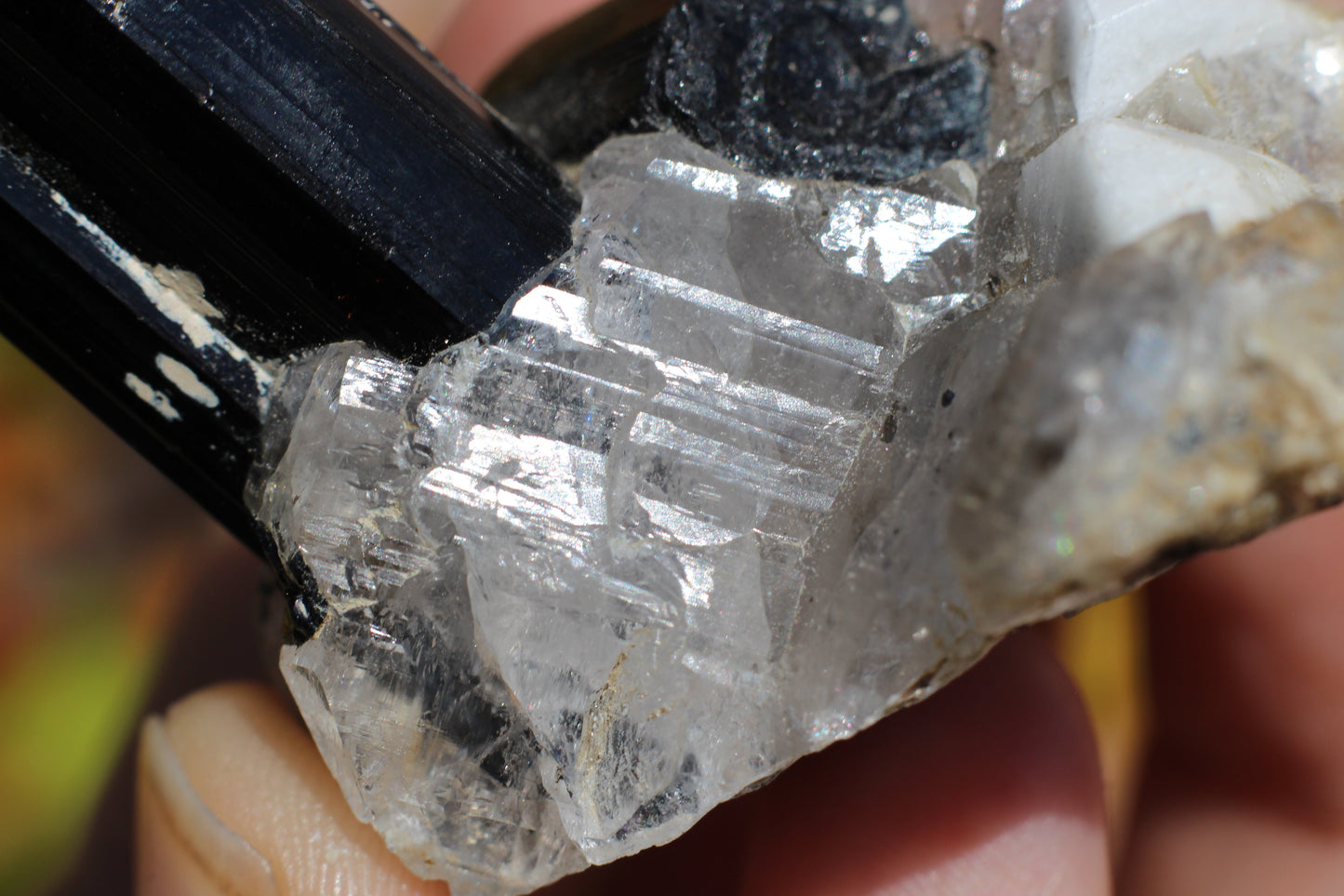 Black Tourmaline w/ Quartz, Mica & Feldspar