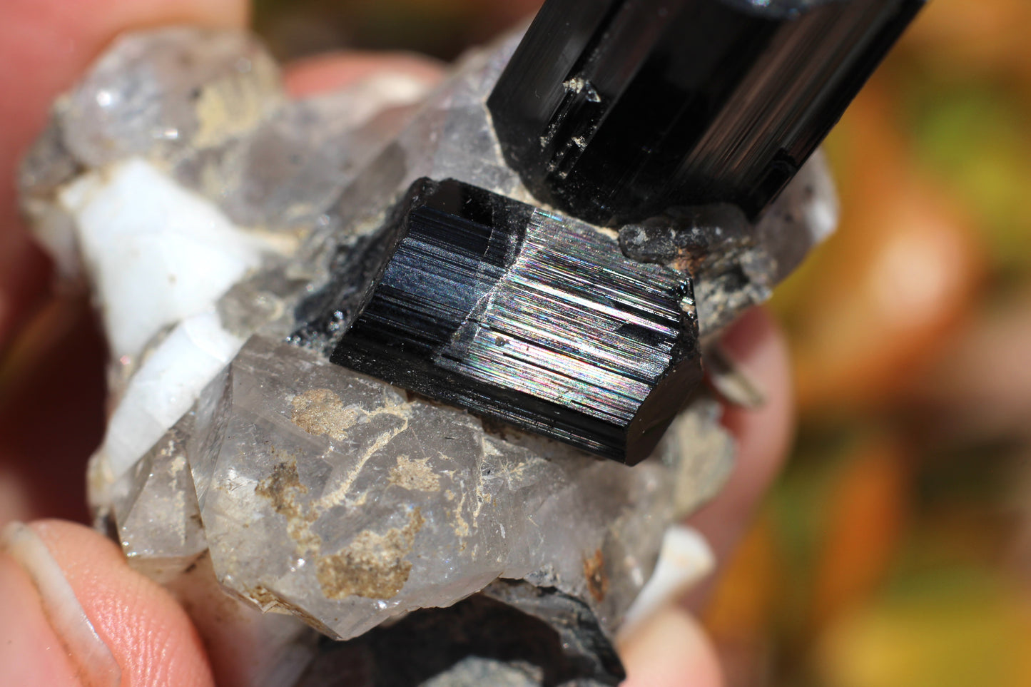 Black Tourmaline w/ Quartz, Mica & Feldspar