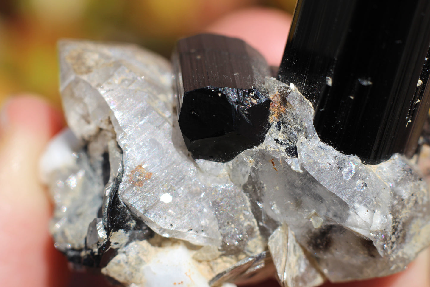 Black Tourmaline w/ Quartz, Mica & Feldspar