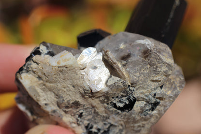 Black Tourmaline w/ Quartz, Mica & Feldspar