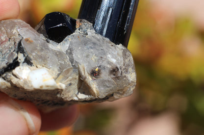 Black Tourmaline w/ Quartz, Mica & Feldspar