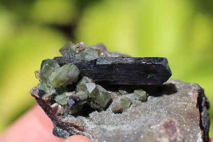 Vivianite and Ludlamite