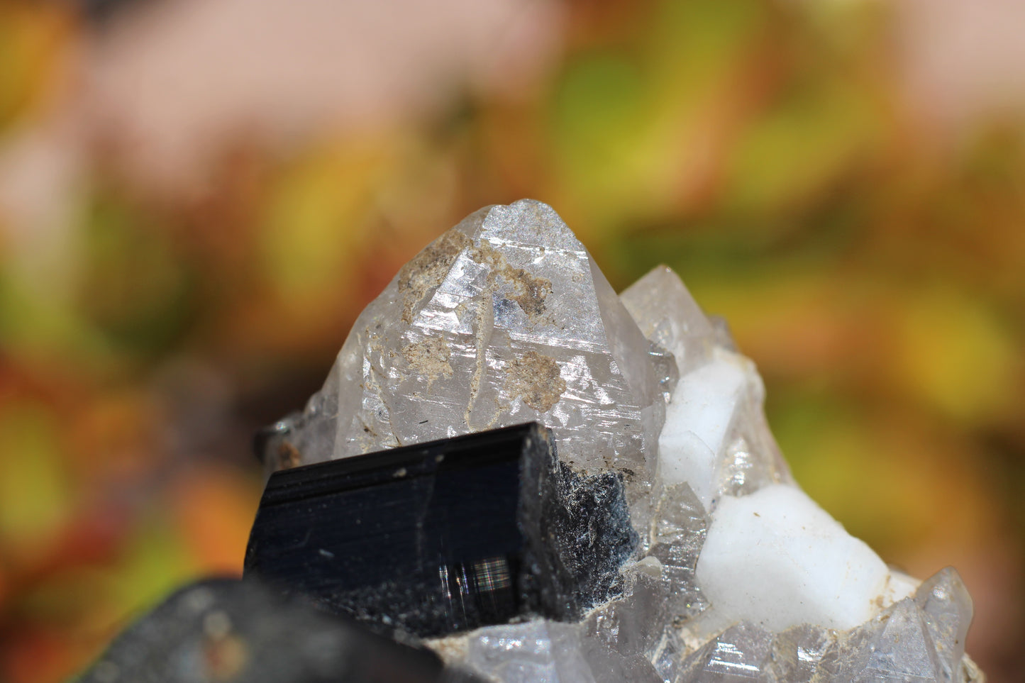 Black Tourmaline w/ Quartz, Mica & Feldspar