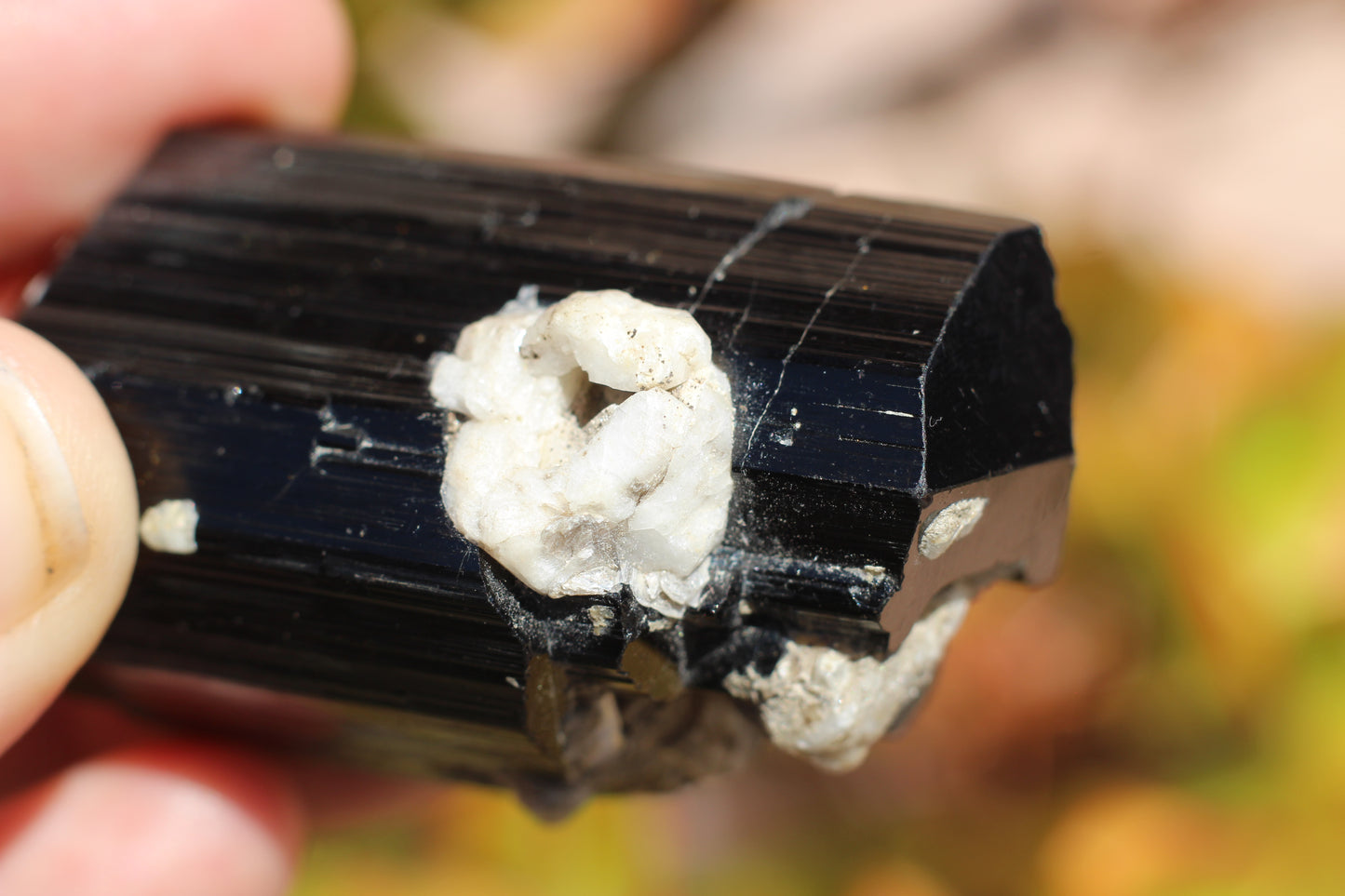 Black Tourmaline w/ Feldspar