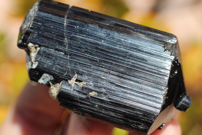 Black Tourmaline w/ Feldspar