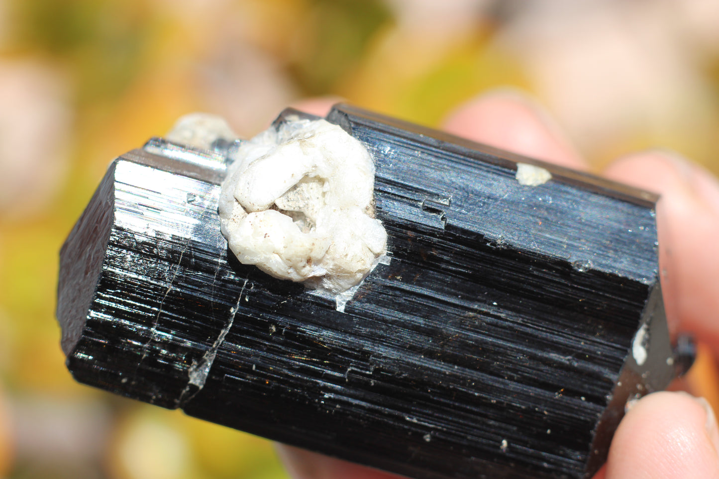 Black Tourmaline w/ Feldspar