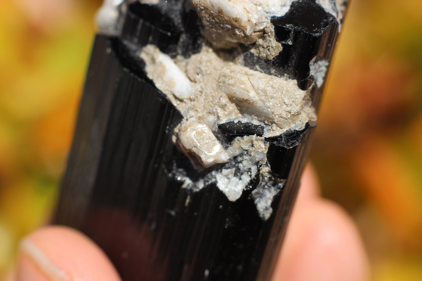 Black Tourmaline w/ Feldspar