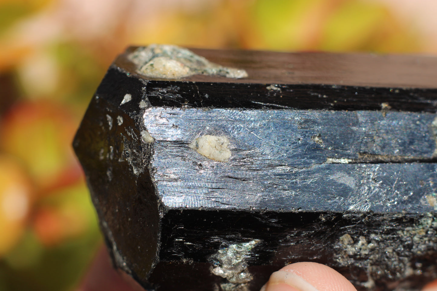 Black Tourmaline