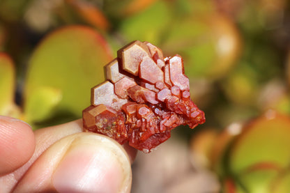 Vanadinite