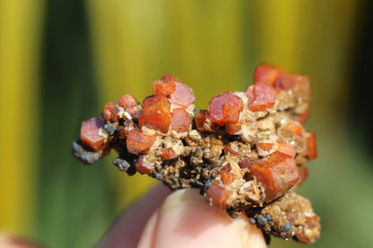 Vanadinite w/ Hollandite