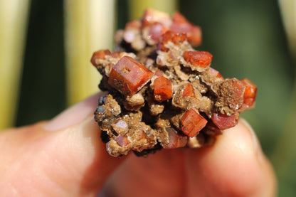 Vanadinite w/ Hollandite