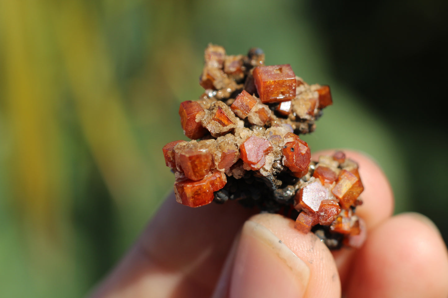 Vanadinite w/ Hollandite