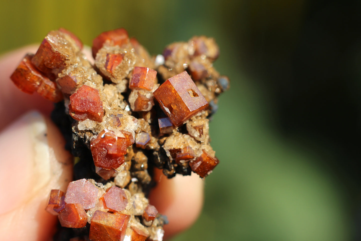 Vanadinite w/ Hollandite