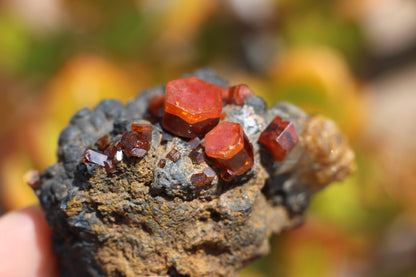 Vanadinite w/ Hollandite