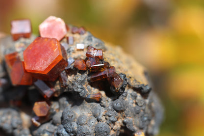 Vanadinite w/ Hollandite