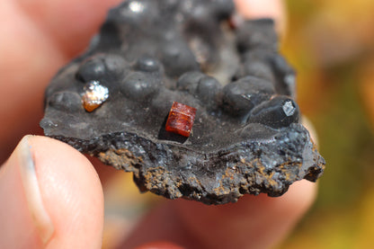 Vanadinite w/ Hollandite