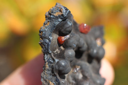 Vanadinite w/ Hollandite