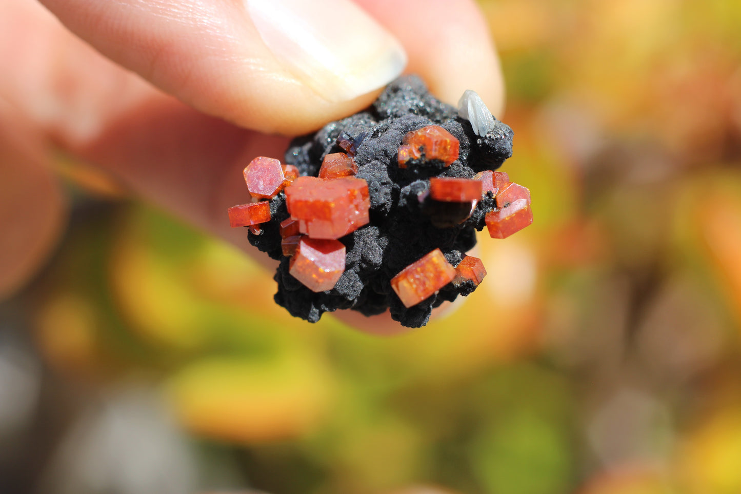 Vanadinite w/ Hollandite