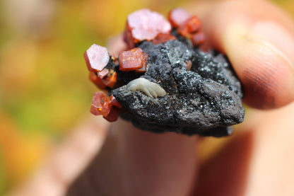 Vanadinite w/ Hollandite